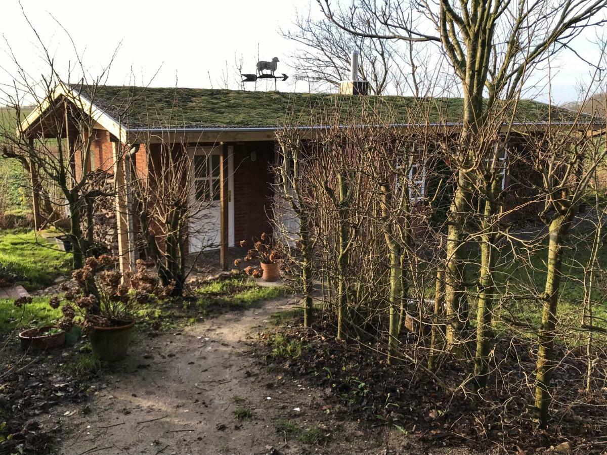 Gartenhaus Frieda Galmsbull Εξωτερικό φωτογραφία
