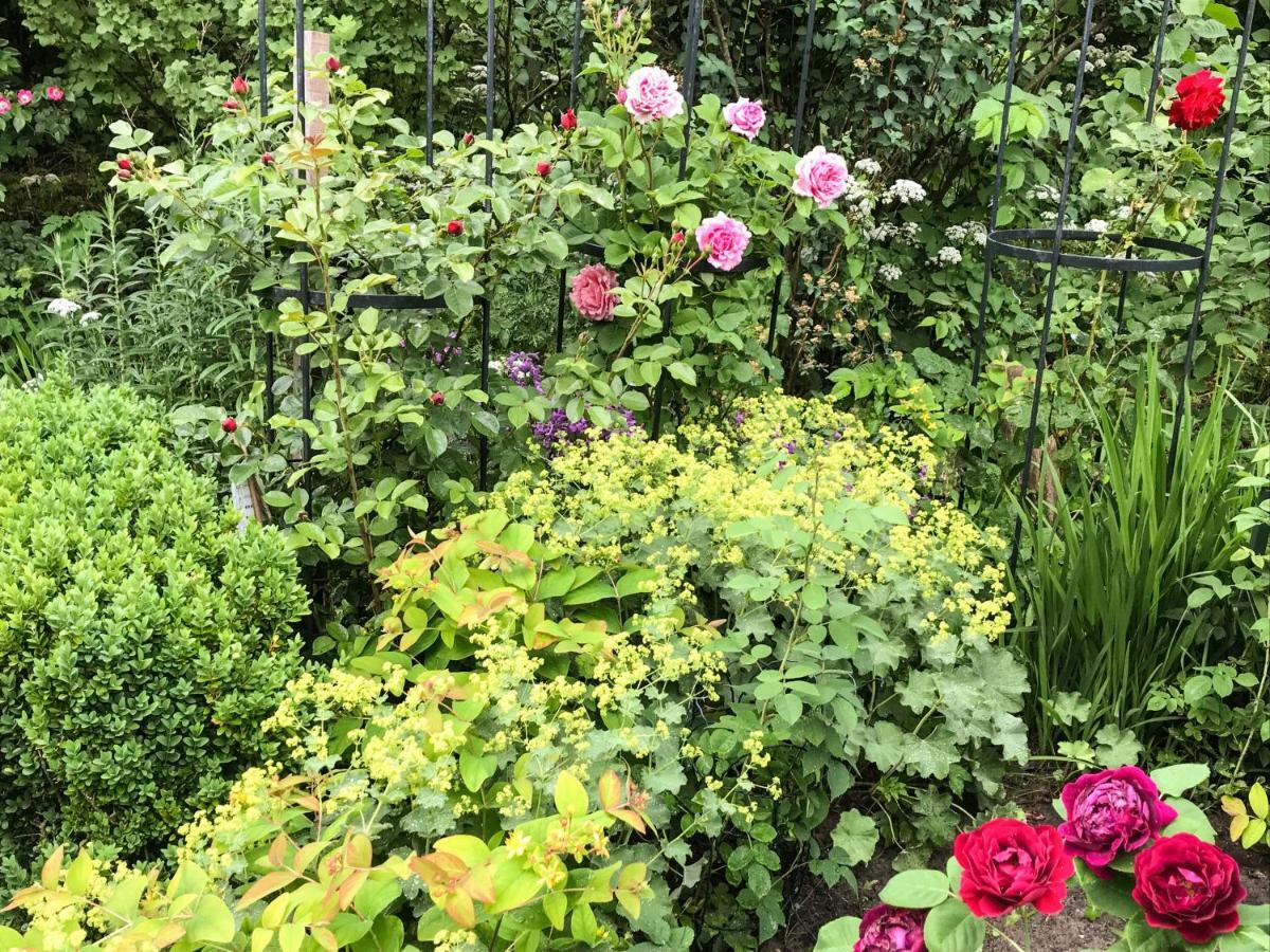 Gartenhaus Frieda Galmsbull Εξωτερικό φωτογραφία